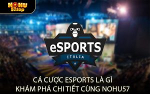 Cá Cược Esports Là Gì Khám Phá Chi Tiết Cùng NOHU57