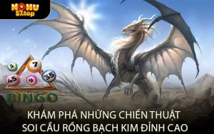Khám Phá Những Chiến Thuật Soi Cầu Rồng Bạch Kim Đỉnh Cao