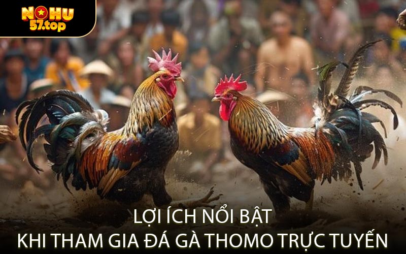 Lợi Ích Nổi Bật Khi Tham Gia Đá Gà Thomo Trực Tuyến