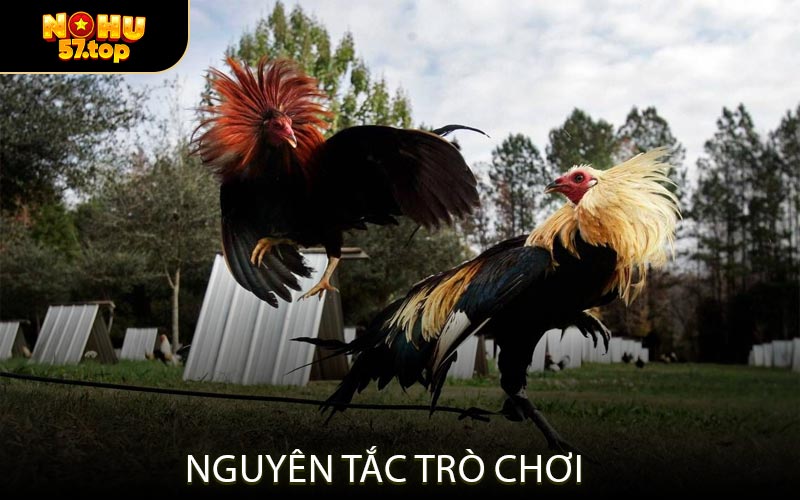 Nguyên tắc trò chơi