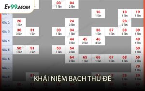 Khái Niệm Bạch Thủ Đề